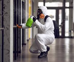 Why You Should Choose Our Mold Remediation Services in Ogden Dunes, IN